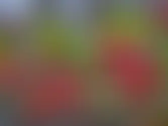 Unlocking the Power of Hawthorn: Ancient Wisdom for Modern Heart Health