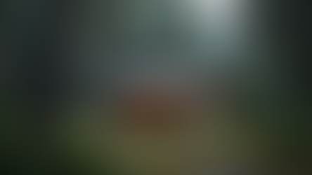 Maximizing Your Stay at Disney's Ft Wilderness Cabins: History, Amenities, Activities and More