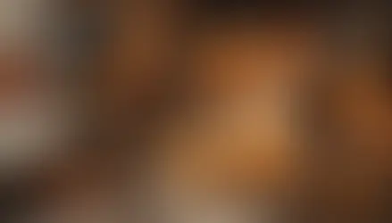 Unveiling Autumn's Aromas: Harnessing the Essence of the Season with Essential Oils