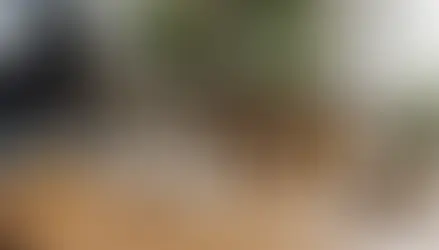 Unleashing the Power of Essential Oils: Transforming Your Home Office for Maximum Productivity