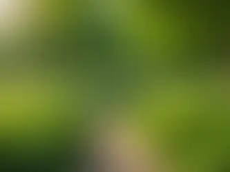 From Nerve Damage to Natural Healing: My Journey to Finding Peace and Wellness