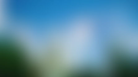 Let's Talk - WDW Magic Kingdom Rides Food Magic and Hidden Gems