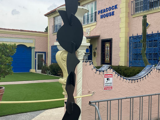 David Hayes at Peacock House