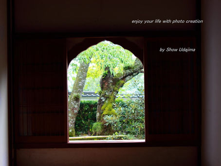 You can realize your own Art Life on Photobooks what we will creative only for you