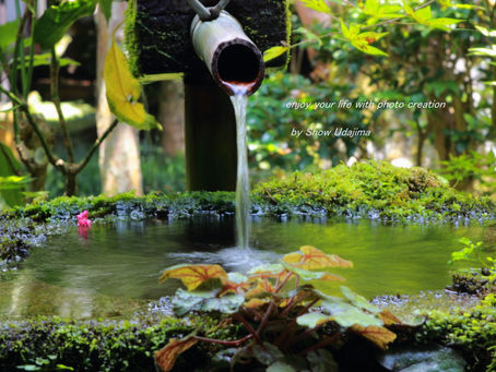 You can realize your own Art Life on Photobooks what we will creative only for you