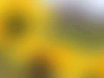 あなたの人生をアートにする・・・