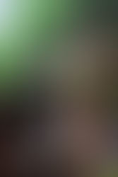 サイトへの加筆のご報告