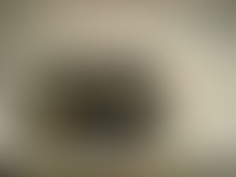 洗濯機 臭いの犯人はカビ以外