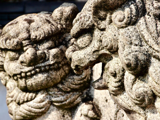 ようやく写真サイトができた