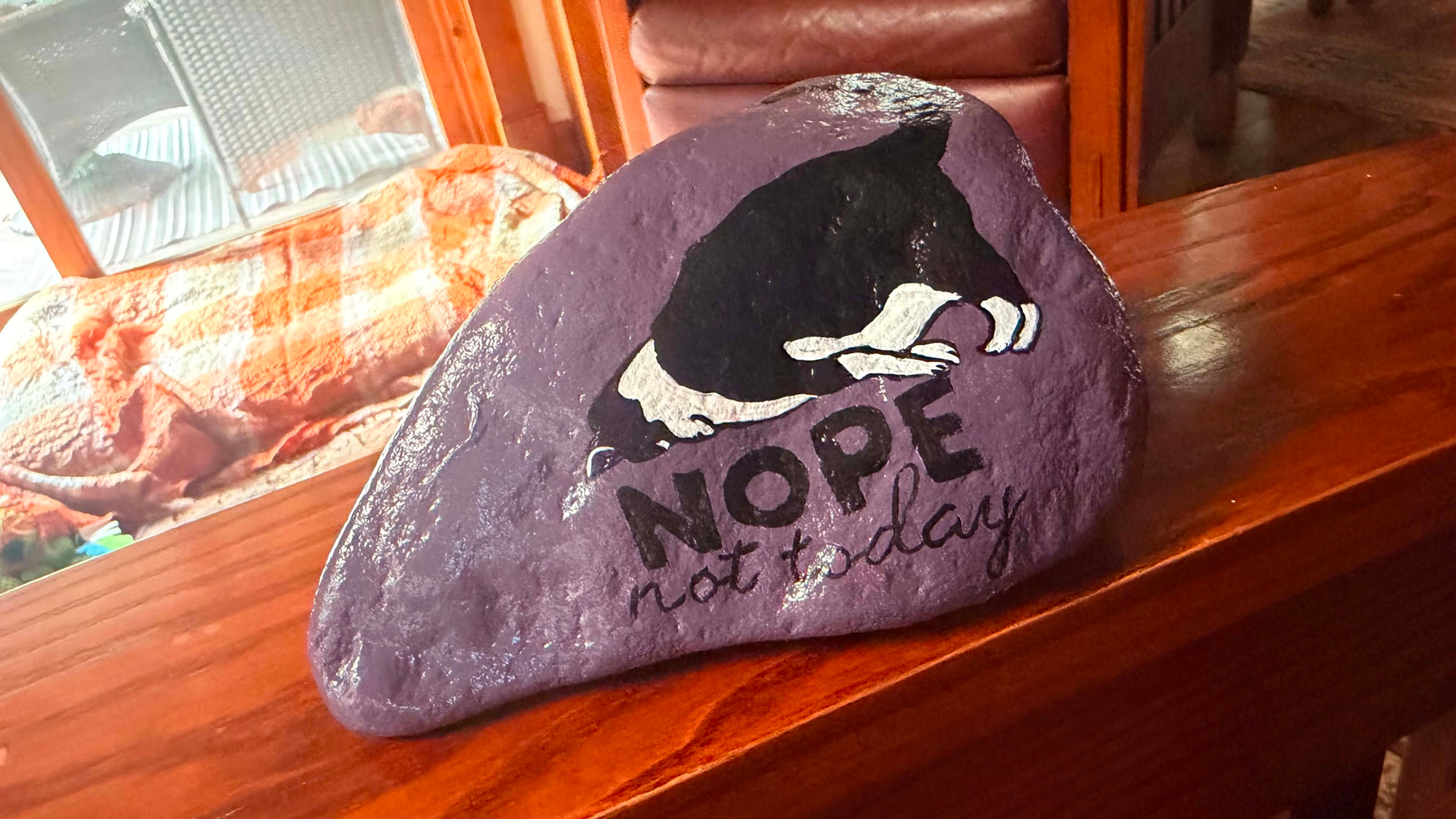 Hand painted river rock 