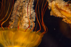 23626449844_f5f2f58122_o