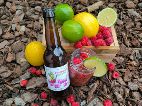 Brasserie LE VEILLEUR DE BIÈRES Blonde Framboise Citron