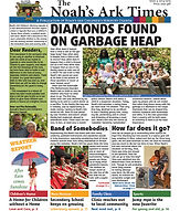 Diamonds found on garbage heap