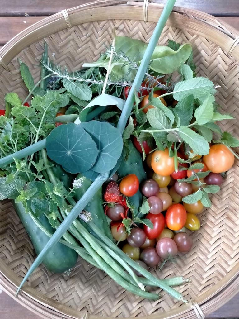 EARTH - Gardening and Cooking Workshop