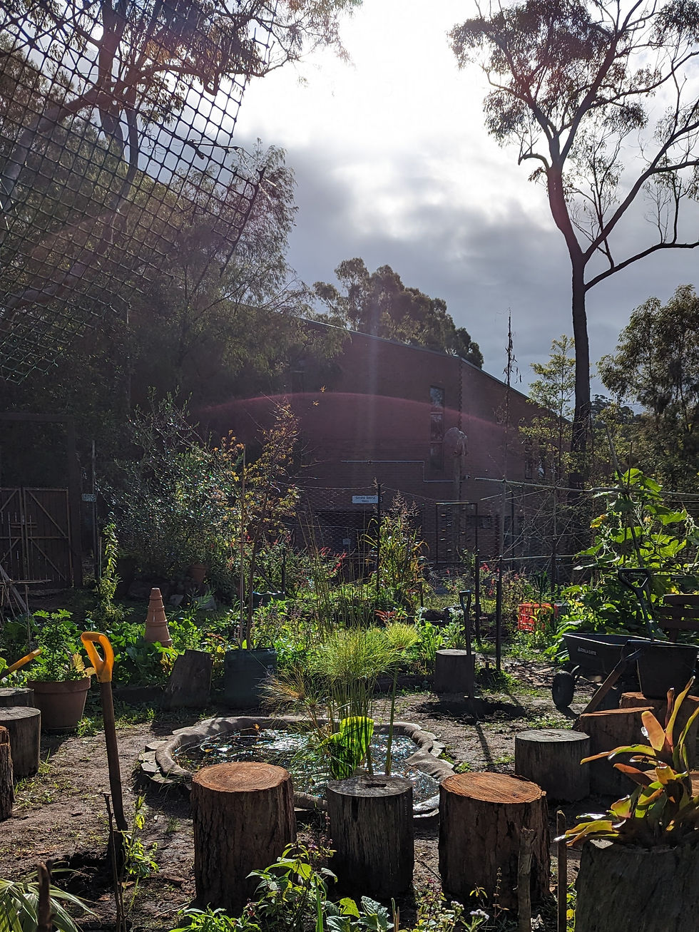 The Garden Oasis - A space for wellbeing