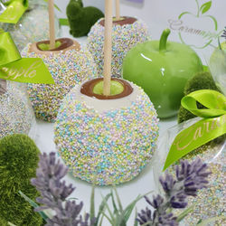 Chocolate Belga Dragée