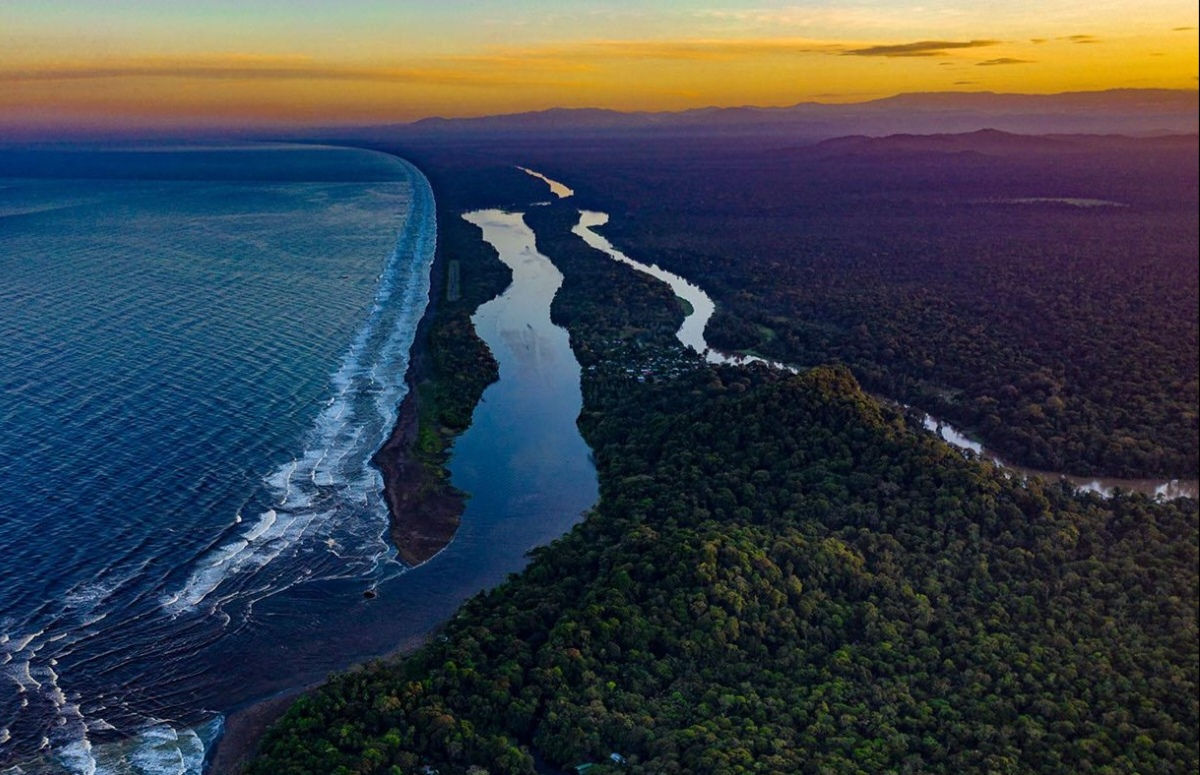 Tour Tortuguero