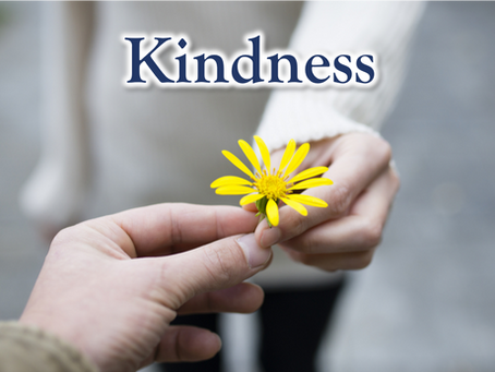 24 Character Strengths: Kindness