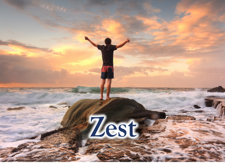 24 Character Strengths: Zest