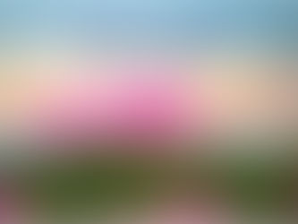 Thought for Today - June 4, 2024