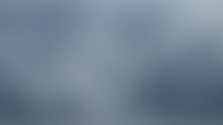 Thought for Today - January 31, 2025