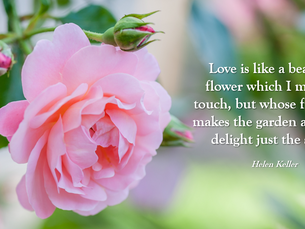 Thought for Friday, February 14, 2020