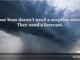The Weather Report