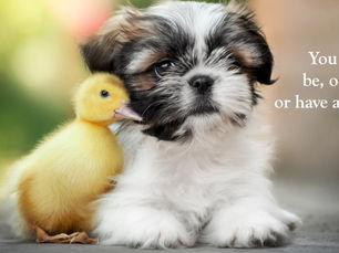 Thought for Thursday, April 8, 2021