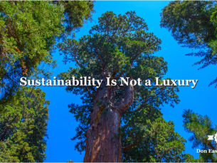 Sustainability Is Not a Luxury