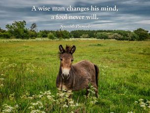 Thought for Thursday, September 24, 2020