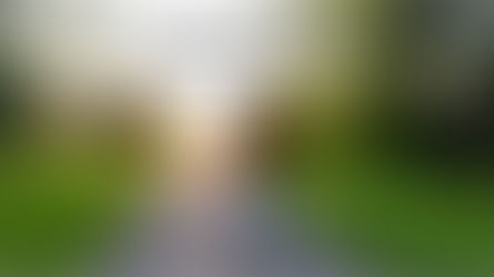 Thought for Today - December 8, 2025