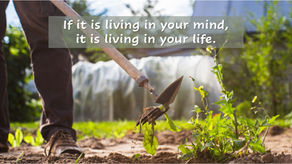 Thought for Today - December 12, 2024