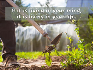 Thought for Today - December 12, 2024