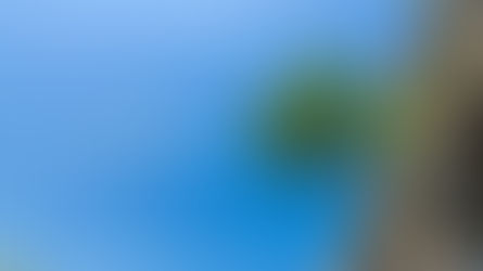 Affirmation for Today - August 7, 2024