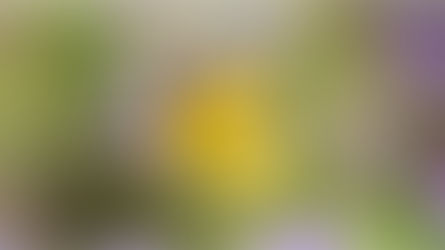 Affirmation for Today - June 13, 2024