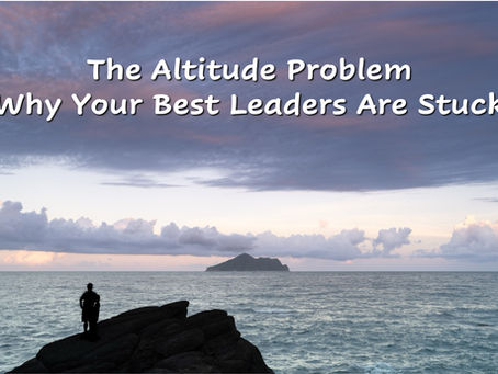 Person standing on rocky cliff overlooking ocean at dusk with text overlay: The Altitude Problem — Why Your Best Leaders Are Stuck