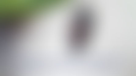 Thought for Today - November 4, 2024