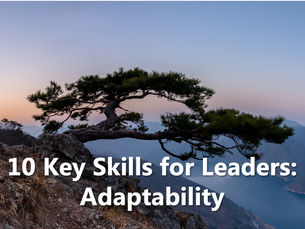 10 Key Skills for Leaders - Adaptability