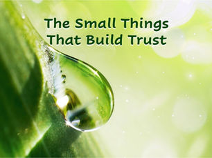 The Small Things That Build Trust