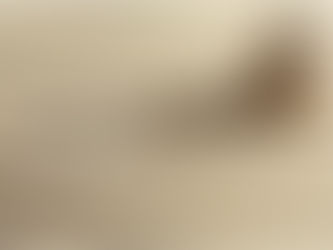 Affirmation for Monday, November 7, 2022