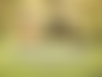Thought for Monday, April 02, 2020