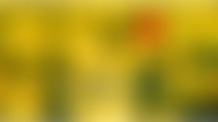 Thought for Today - April 17, 2024