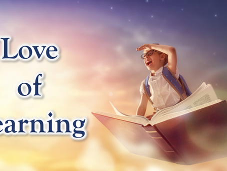 24 Character Strengths: Love of Learning