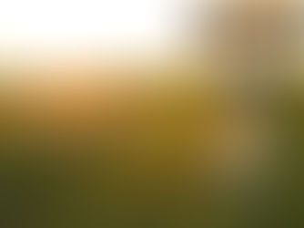 Affirmation for Thursday, November 5, 2020