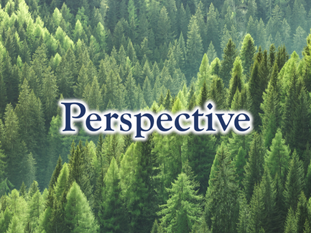 24 Character Strengths: Perspective