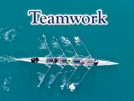 24 Character Strengths: Teamwork