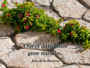 Thought for Monday, July 27, 2020