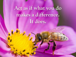 Thought for Monday, August 24, 2020