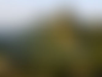 Affirmation for Friday, April 29, 2022