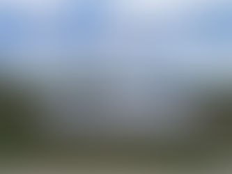 A still, round pond on a green hillside perfectly reflects the sky and clouds above, with a single tree standing at its edge. Text reads: "Growth doesn't feel like transformation. It feels like clarity." Don Eash Coaching logo in bottom right corner.